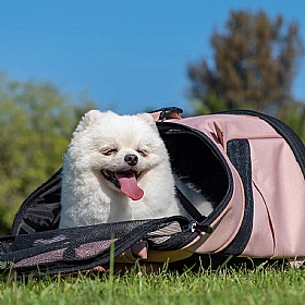 Ultralight Pro Dog Travel Backpack Carrier