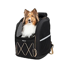 Champion Medium Breed Dog Backpack Carrier