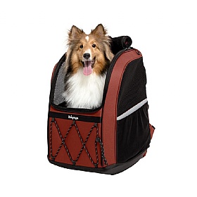 Champion Medium Breed Dog Backpack Carrier