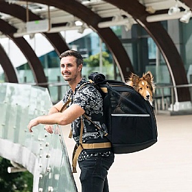 Champion Medium Breed Dog Backpack Carrier