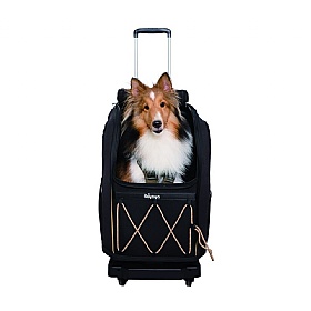 Champion Medium Breed Dog Backpack Carrier