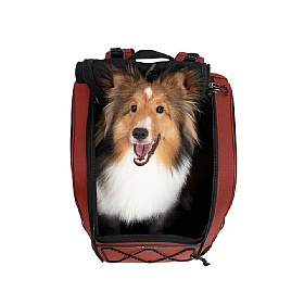 Champion Medium Breed Dog Backpack Carrier