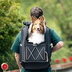 Champion Medium Breed Dog Backpack Carrier