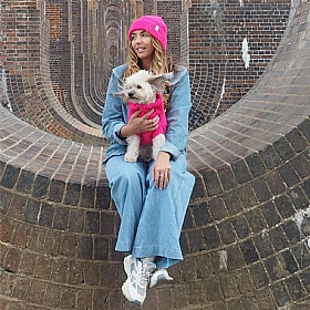 Wag & Wool Fandango Pink British Wool Dog Jumper