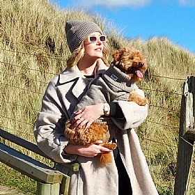 Wag & Wool Oatmeal British Wool Dog Jumper