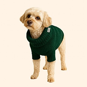 Wag & Wool Forest Green British Wool Dog jumper