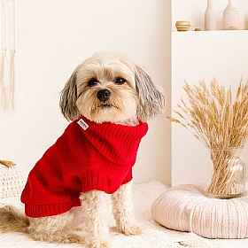 Wag & Wool Cherry Red British Wool Dog Jumper