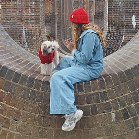 Wag & Wool Cherry Red British Wool Dog Jumper