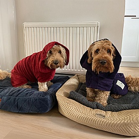 Ruff and Tumble Classic Dog Drying Coats