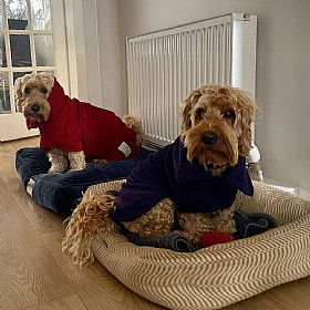 Ruff and Tumble Classic Dog Drying Coats