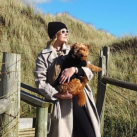 Wag & Wool Black British Wool Dog Jumper