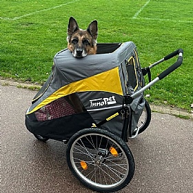 Hercules 2.0 XL Dog Pram with Free Raincover
