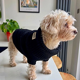 Black British Wool Dog Jumper and Matching Beanie Hat Set
