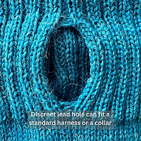 Cerulean Blue British Wool Dog Jumper and Matching Beanie Hat Set