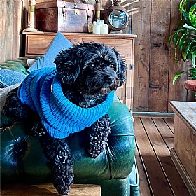 Cerulean Blue British Wool Dog Jumper and Matching Beanie Hat Set