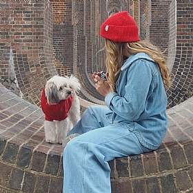 Cherry Red British Wool Dog Jumper and Matching Beanie Hat Set