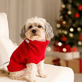 Cherry Red British Wool Dog Jumper and Matching Beanie Hat Set