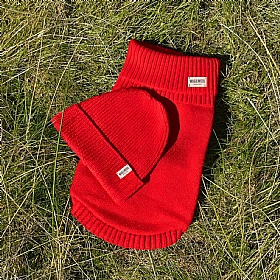 Cherry Red British Wool Dog Jumper and Matching Beanie Hat Set