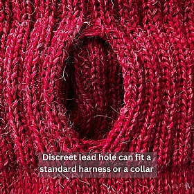 Cherry Red British Wool Dog Jumper and Matching Beanie Hat Set