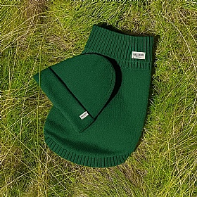 Forest Green British Wool Dog Jumper and Matching Beanie Hat Set