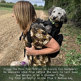 K9 Plus 2 Dog Backpack Carrier