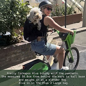 K9 Plus 2 Dog Backpack Carrier