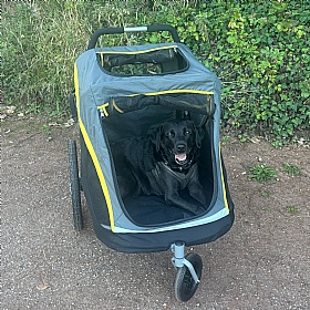 Hercules 2.0 XL Dog Pram with Free Raincover