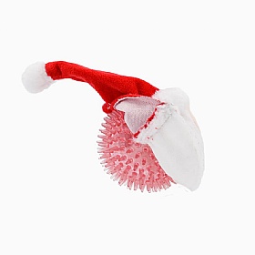 Happy Woofmas Santa Squeaky Ball Dog Toy