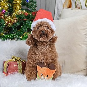 Happy Woofmas Reindeer Squeaky Ball Dog Toy