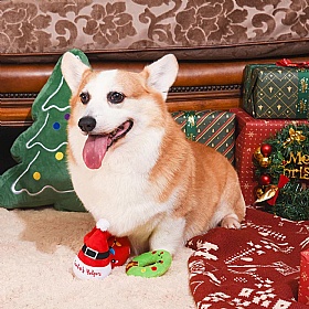 Happy Woofmas Set of 3 Squeaky Christmas Dog Toys