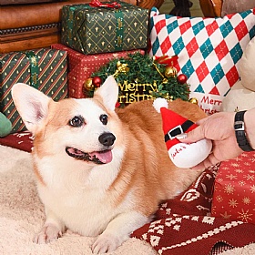 Happy Woofmas Set of 3 Squeaky Christmas Dog Toys