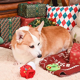 Happy Woofmas Set of 3 Squeaky Christmas Dog Toys