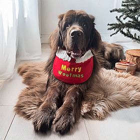 Piper & Gran Merry Woofmas Clip on Dog Drool Bib