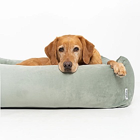 Ruff and Tumble Pistachio Velvet Burnham Bolster Dog Bed