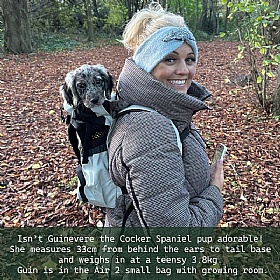 K9 Air 2 Dog Backpack Carrier