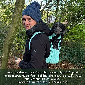 K9 Air 2 Dog Backpack Carrier