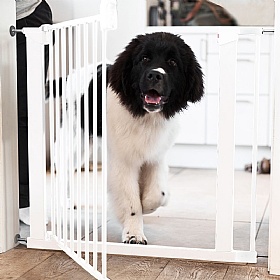 DogSpace Lassie Pressure Fitted Dog Gate