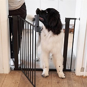 DogSpace Lassie Pressure Fitted Dog Gate
