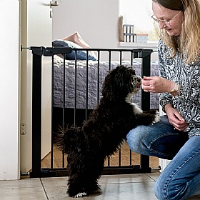 DogSpace Lassie Pressure Fitted Dog Gate