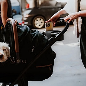 Tavo Maeve Medium Breed Dog Pram 3-in-1 Travel System