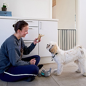 DogSpace Lucky Extending Dog Gate