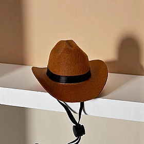 Rodeo Pup Dog Cowboy Hat