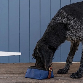 Ruff and Tumble Foldable Travel Dog Bowl