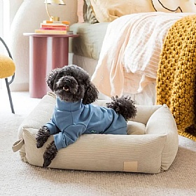 Fuzzyard Life French Blue Super Soft Dog Pyjamas