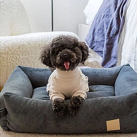 Fuzzyard Life Sandstone Super Soft Dog Pyjamas