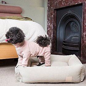 Fuzzyard Life Soft Blush Pink Super Soft Dog Pyjamas