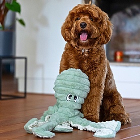 Green Ollie Octopus Squeaky Plush Dog Toy