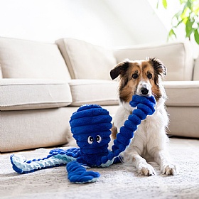 Blue Ollie Octopus Squeaky Plush Dog Toy