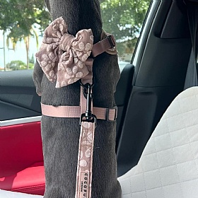 Cocopup London Luxe Mocha Flower Dog Lead