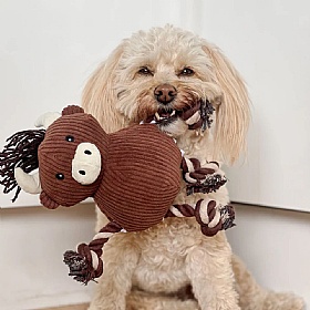 Harold the Highland Cow Squeaky Dog Toy
